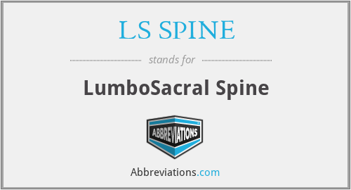 LS SPINE - LumboSacral Spine